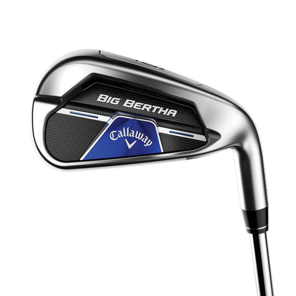 Big Bertha B21 Iron